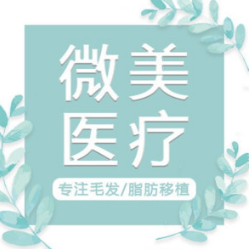 北京微美医疗美容诊所-logo